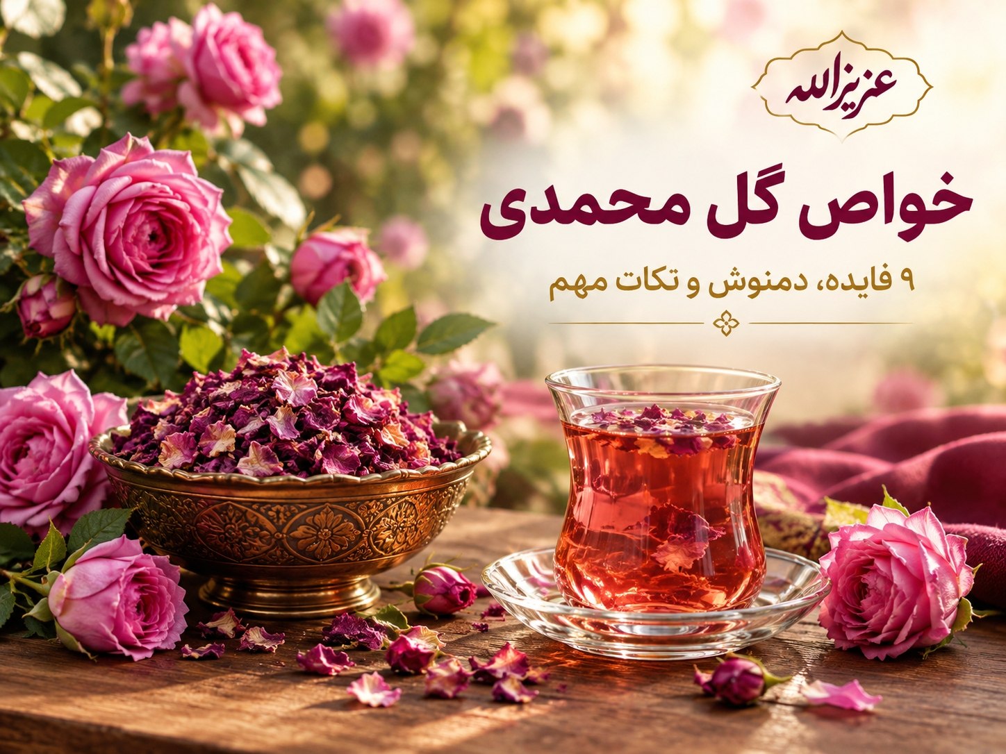 خواص گل محمدی چیست